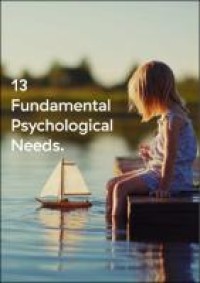 Thirteen Fundamental Psychological Needs