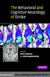 The Behavioral and Cognitive Neurology of Stroke