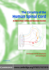 The Circuitry of the Human Spinal Cord