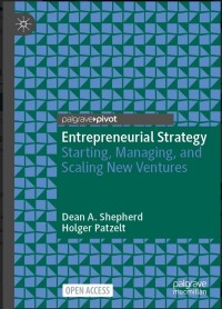 Entrepreneurial Strategy: Starting, Managing, and Scaling New Ventures