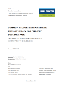 Image of COMMON FACTORS PERSPECTIVE IN PHYSIOTHERAPY FOR CHRONIC LOW BACK PAIN