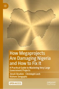 Image of How Megaprojects Are Damaging Nigeria and How to Fix It