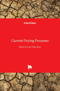 Current Drying Processes