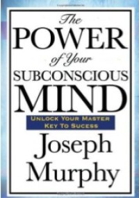 The Whole Brain Child : 12 Revolutionary Strategies to Nurture Your Childs Developing Mind (e-book)