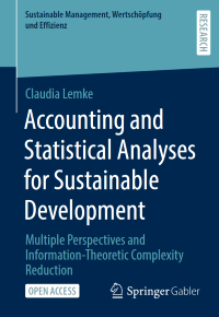 Accounting and Statistical Analyses for Sustainable Development: Multiple Perspectives and Information-Theoretic Complexity Reduction