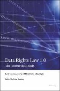 Data Rights Law 1.0: The Theoretical Basis