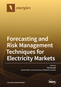 Forecasting and Risk Management Techniques for Electricity Markets