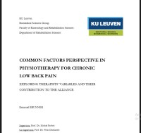 Image of Common factors perspective in physiotherapy for chronic low back pain