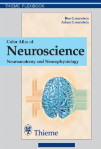 Color Atlas of Neurosciences : Neuroanatomy and Neurophysiology