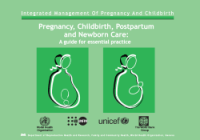 Pregnancy, Childbirth, Postpartum and Newborn Care: A Guide for Essential Practice
