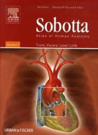 Sobotta: Atlas of Human Anatomy (Vol. 2: Trunk, Viscera, Lower Limb)